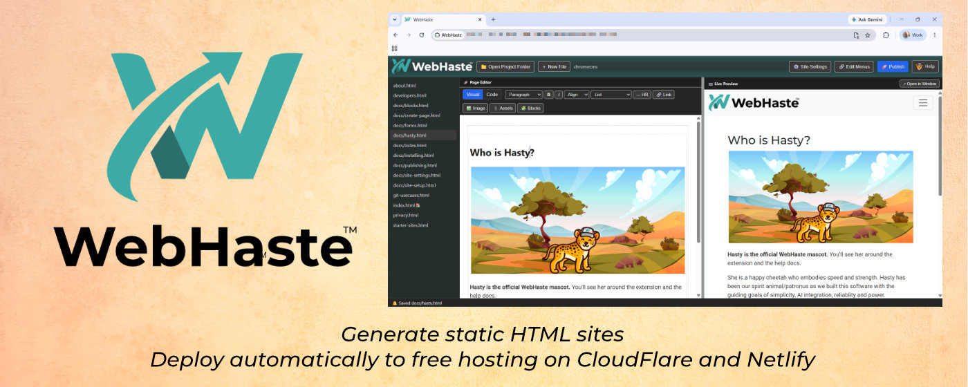chrome-web-store-preview-lg.jpg