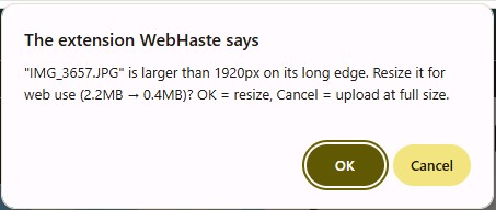 A prompt reading: IMG_3657.JPG is larger than 1920px on its long edge. Resize it for web use (2.2MB to 0.4MB)? OK = resize, Cancel = upload at full size.